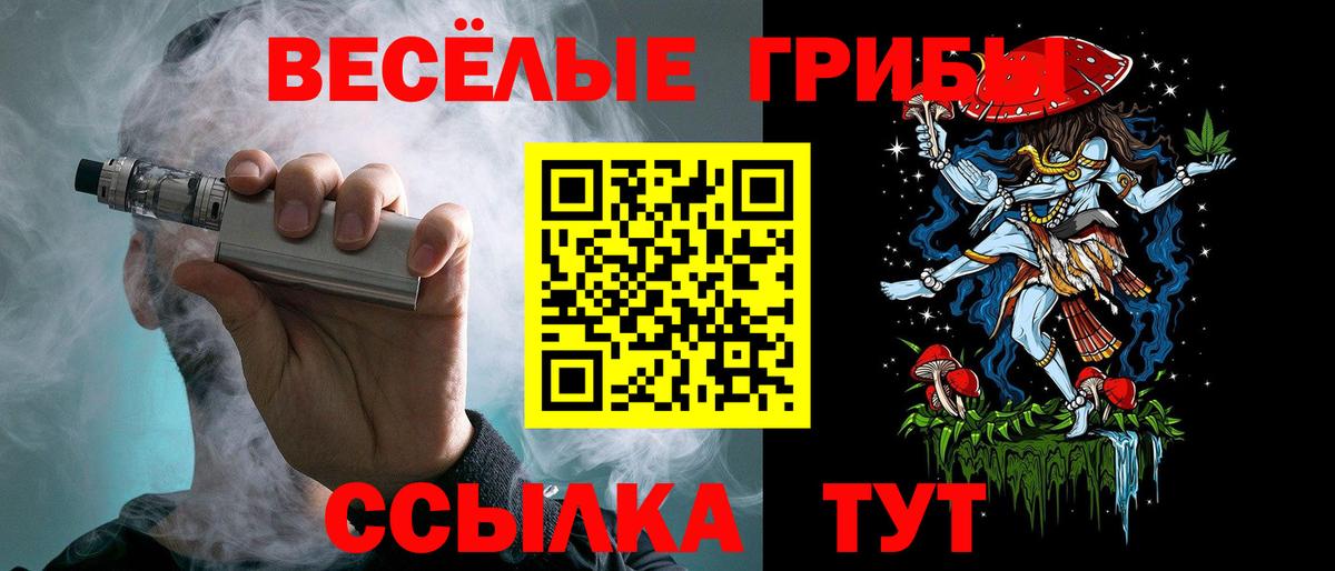 Галлюциногенные грибы Psilocybine cubensis Мурманск