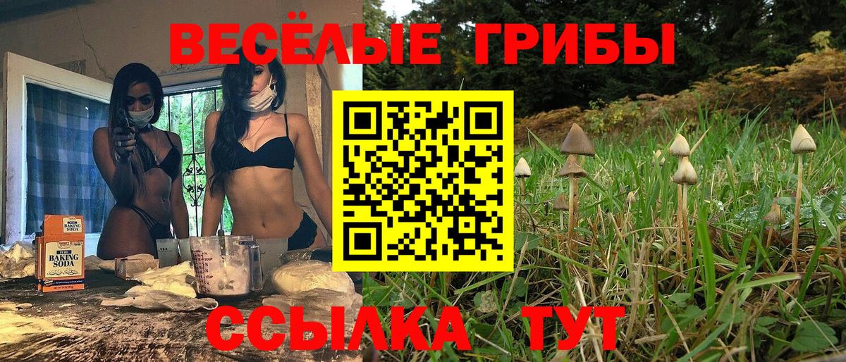 Галлюциногенные грибы мухоморы  Вход с VPN  Мурманск 